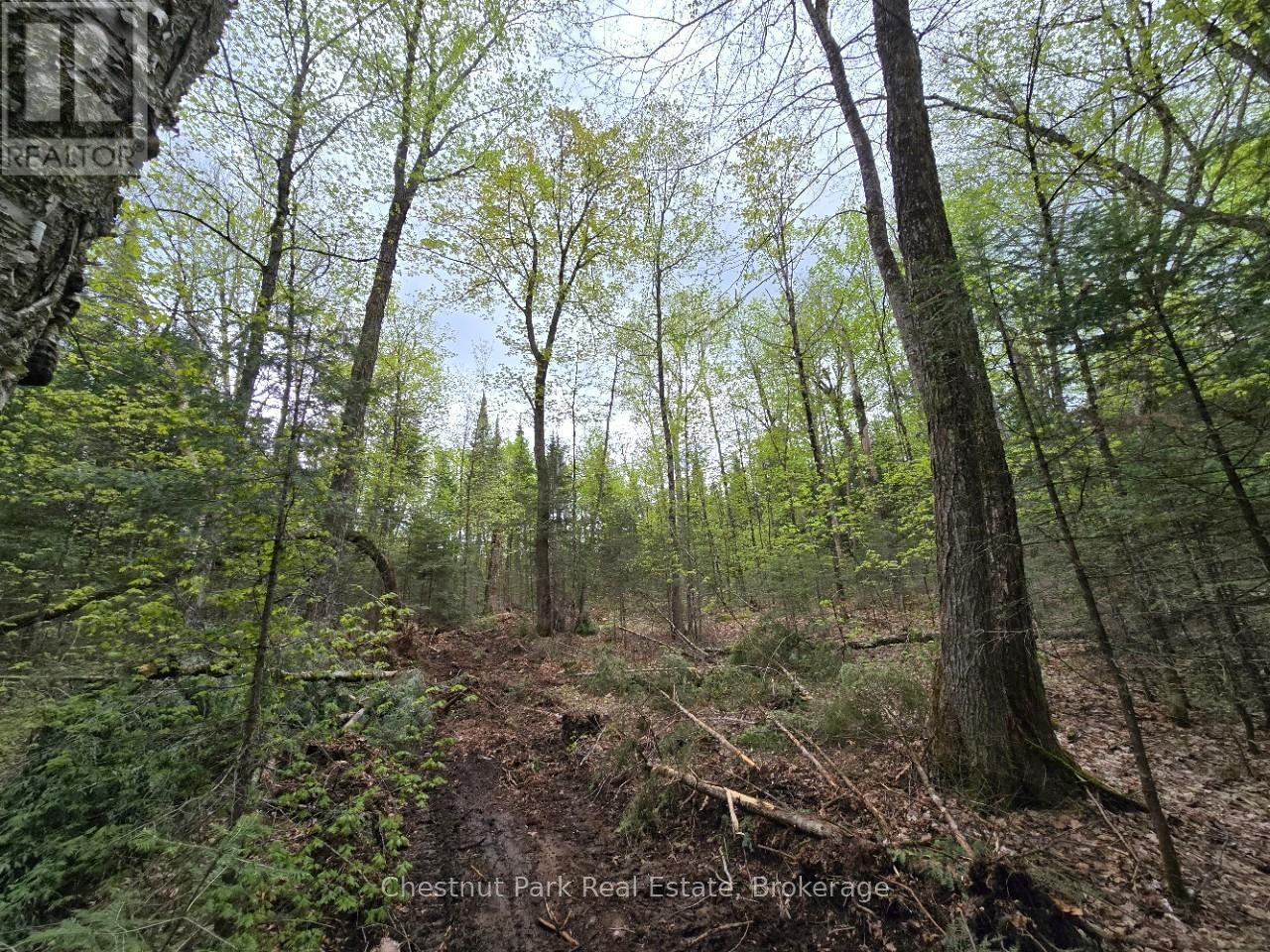 Part 6 ECHO RIDGE ROAD Image 13