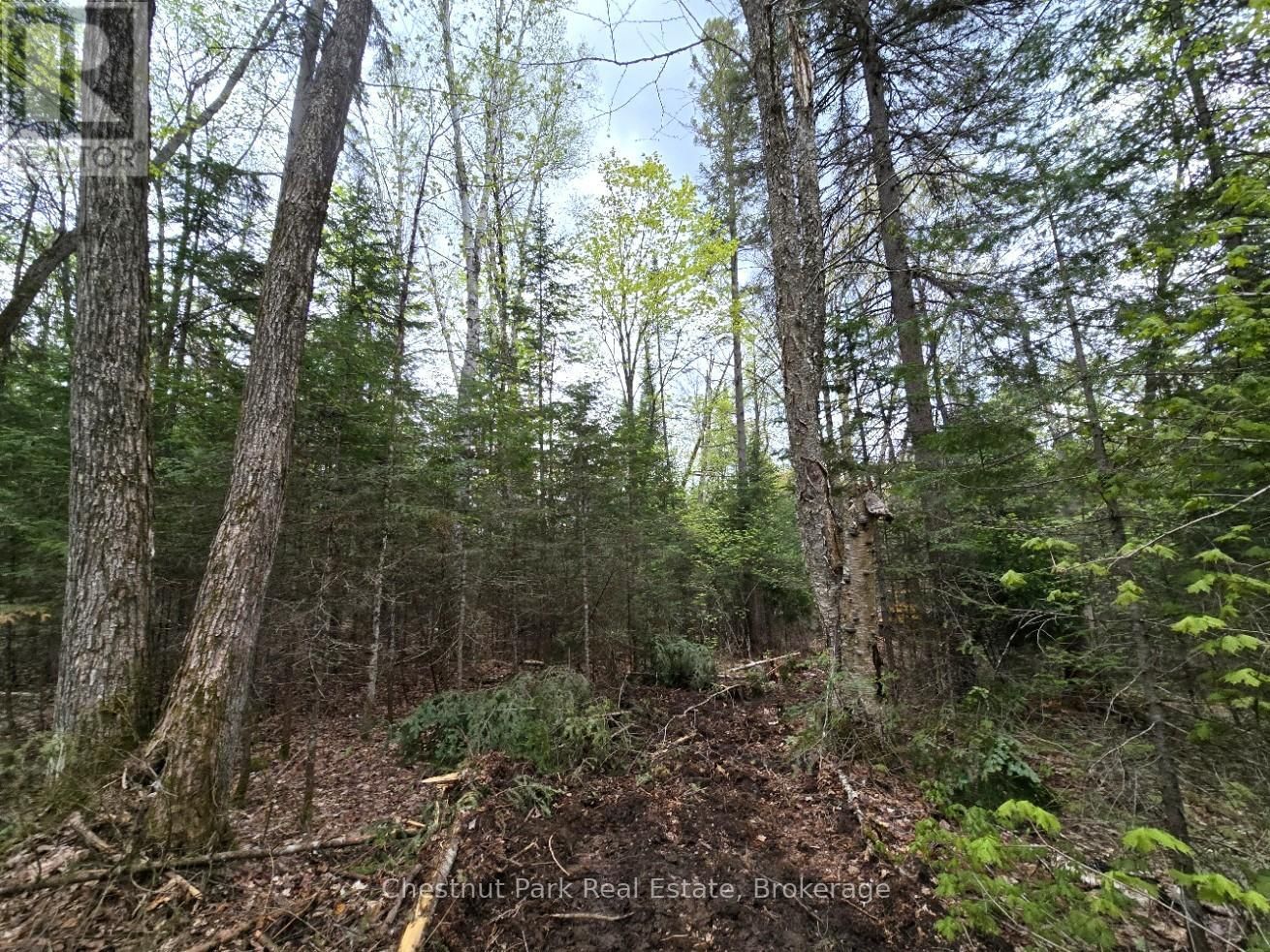 Part 6 ECHO RIDGE ROAD Image 14
