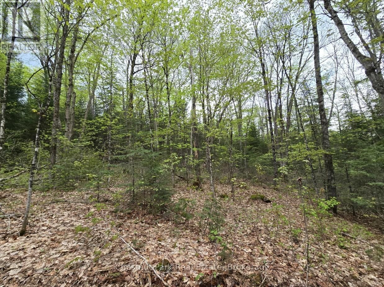 Part 6 ECHO RIDGE ROAD Image 15