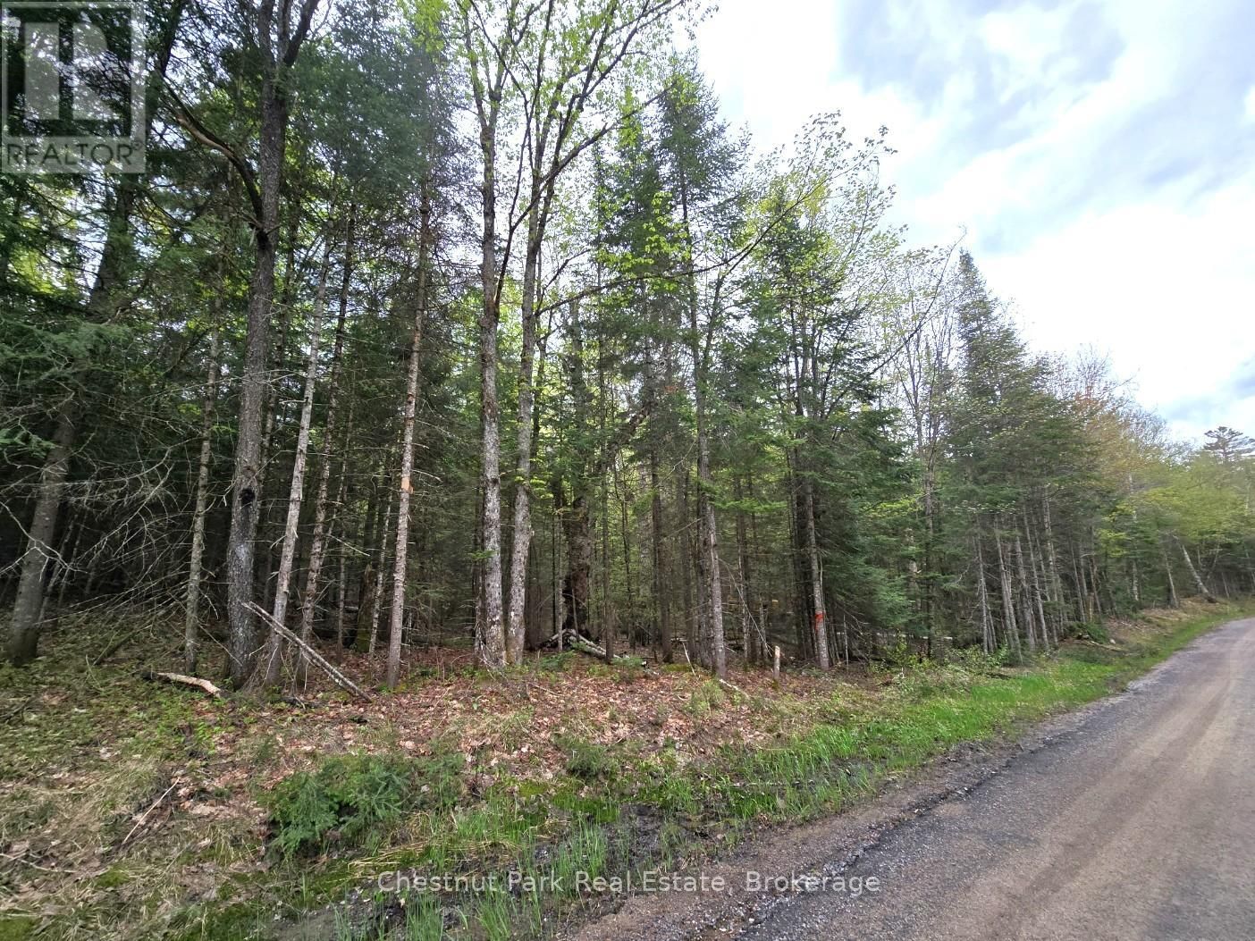 Part 6 ECHO RIDGE ROAD Image 2