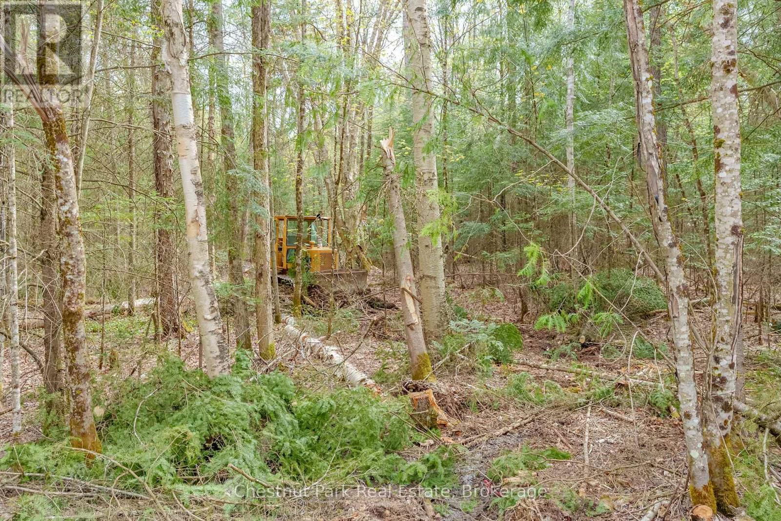 Part 6 ECHO RIDGE ROAD Image 20