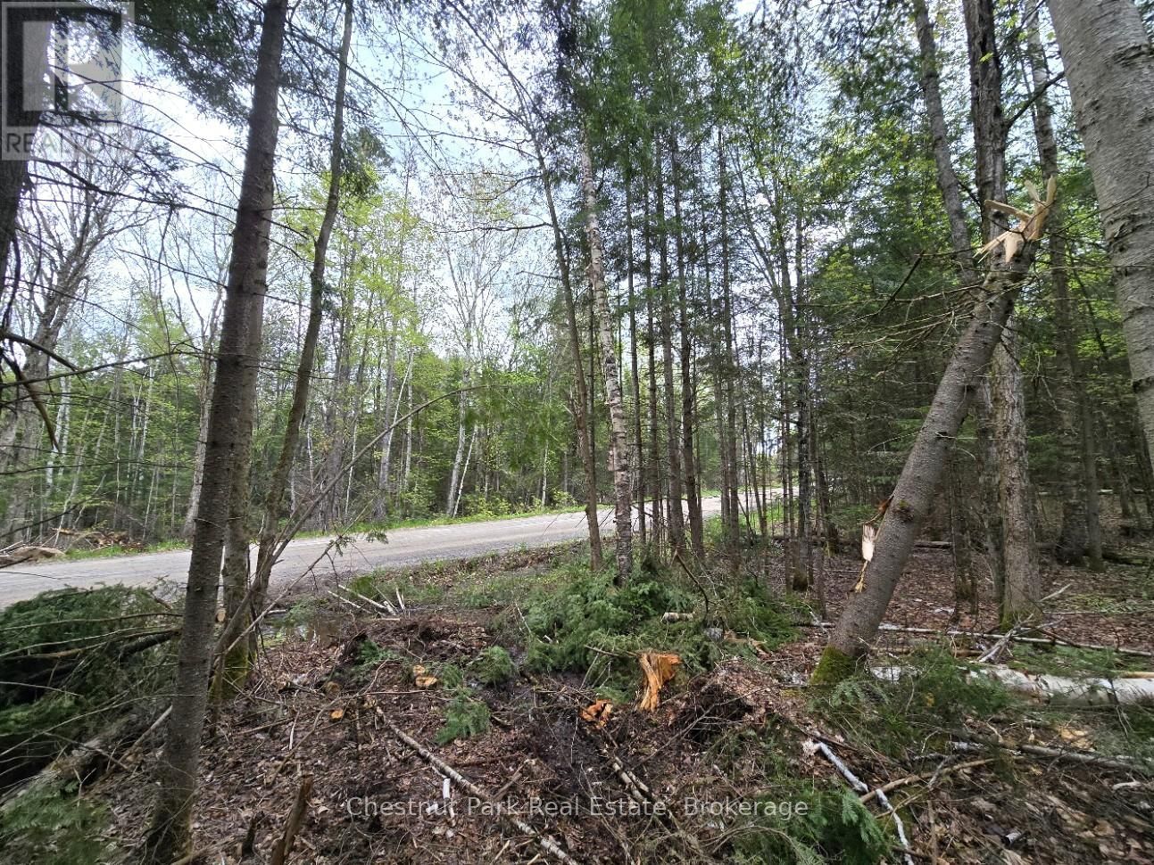 Part 6 ECHO RIDGE ROAD Image 5