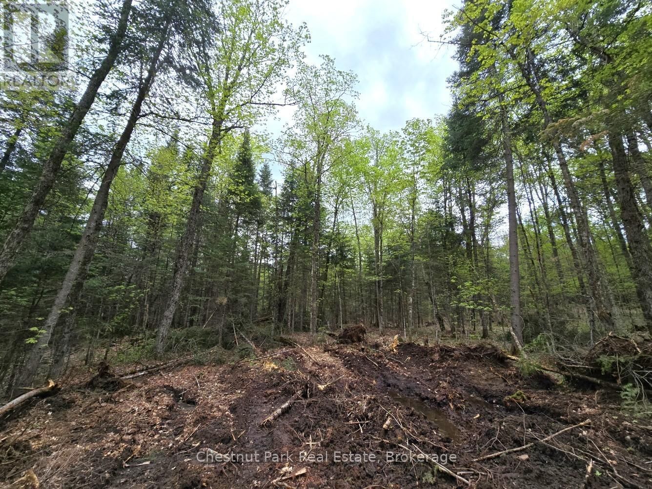Part 6 ECHO RIDGE ROAD Image 7