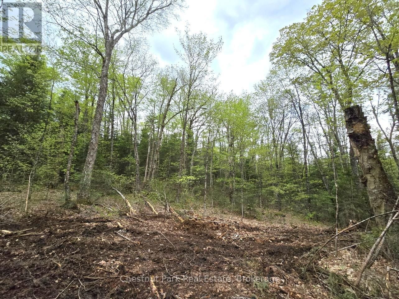 Part 6 ECHO RIDGE ROAD Image 9