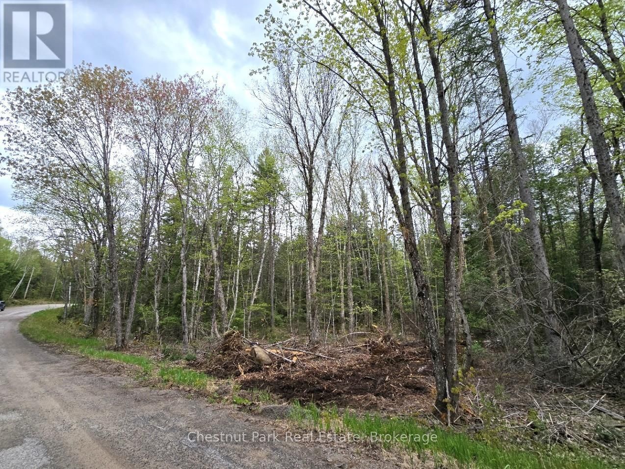 Part 1 ECHO RIDGE ROAD Image 1