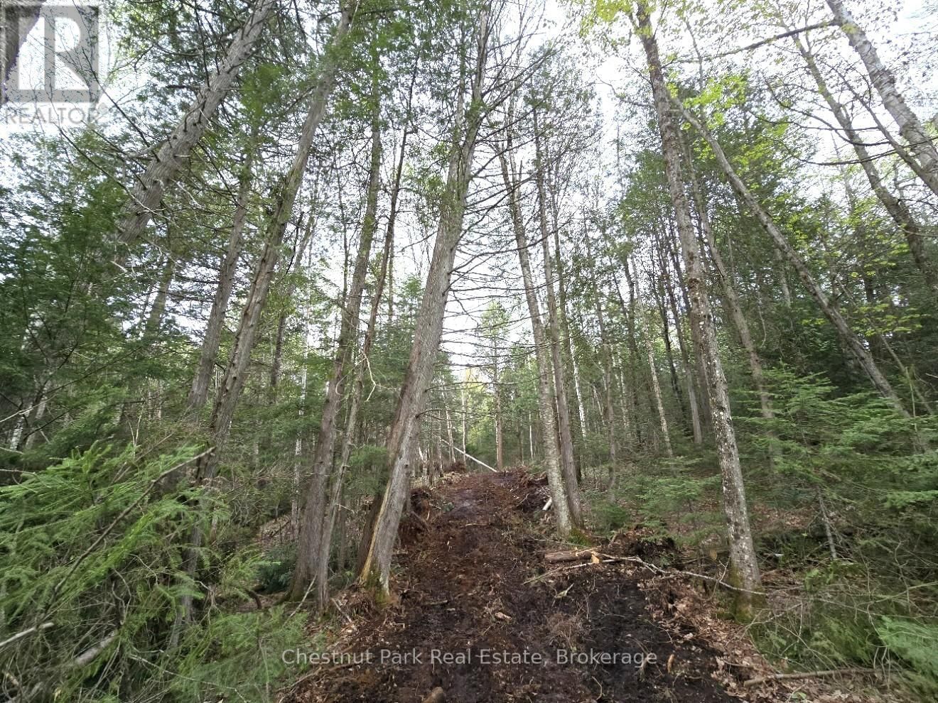 Part 1 ECHO RIDGE ROAD Image 10