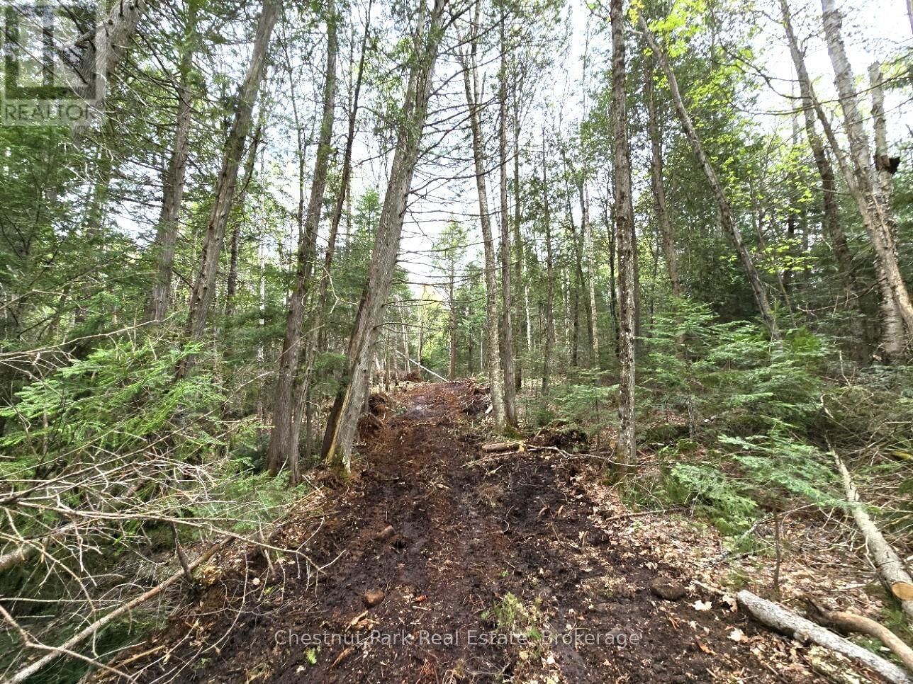 Part 1 ECHO RIDGE ROAD Image 11