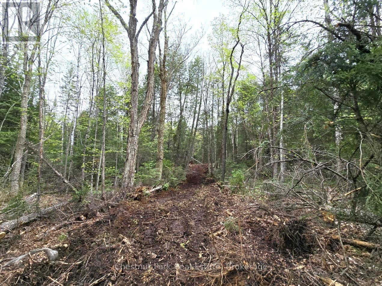 Part 1 ECHO RIDGE ROAD Image 12