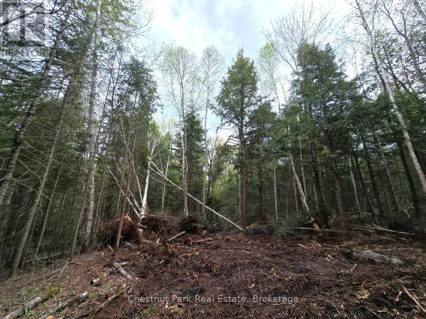 Part 1 ECHO RIDGE ROAD Image 13