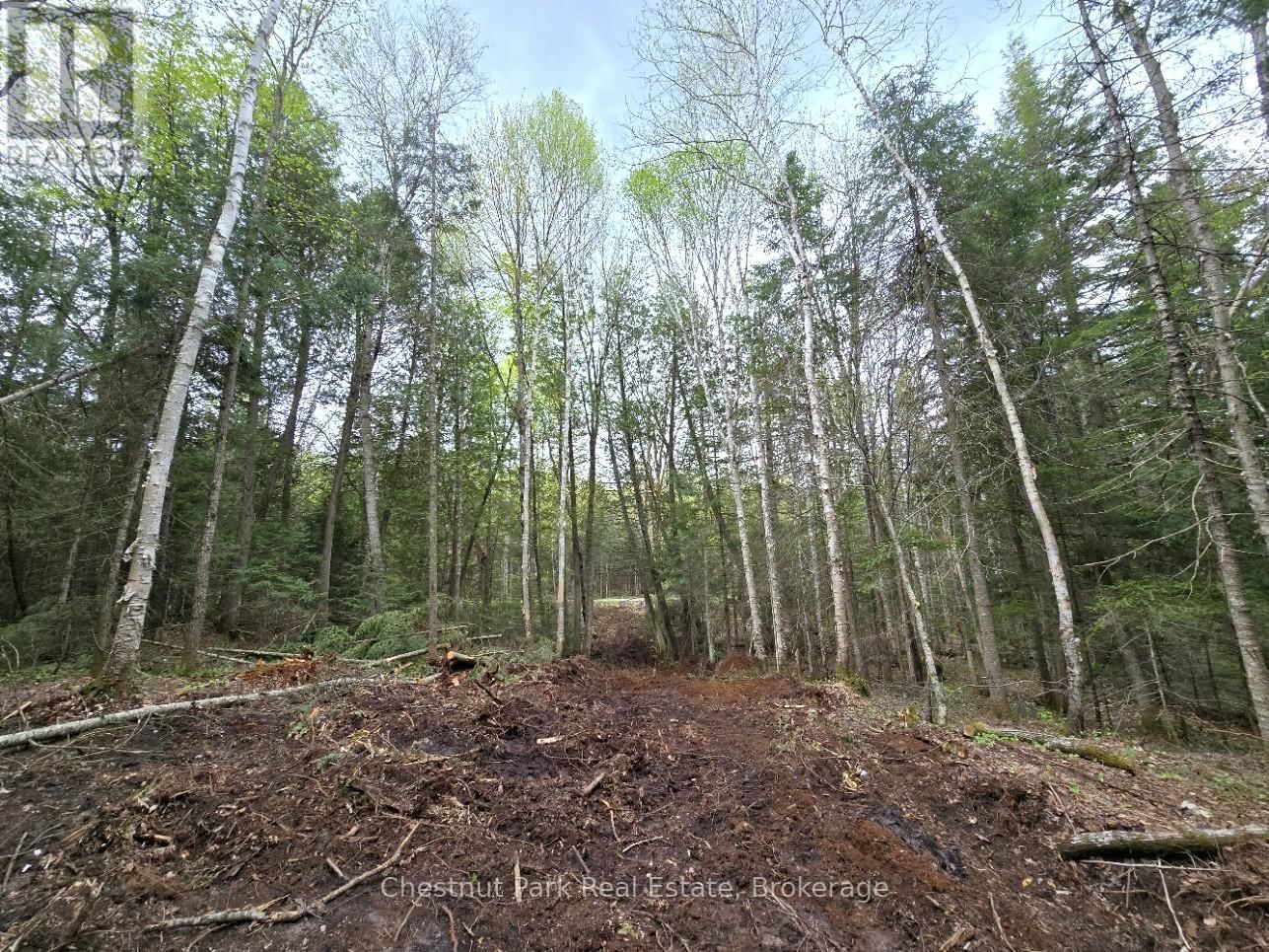 Part 1 ECHO RIDGE ROAD Image 14