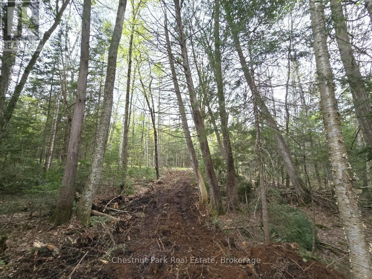 Part 1 ECHO RIDGE ROAD Image 15