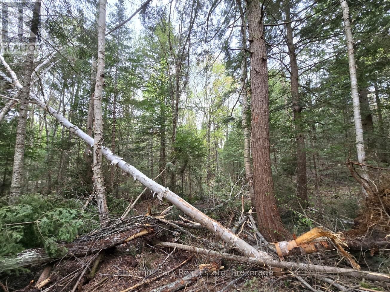 Part 1 ECHO RIDGE ROAD Image 16