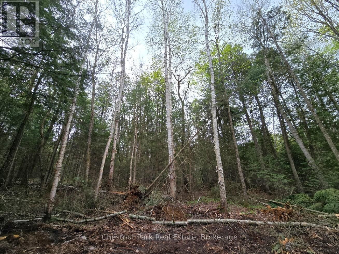 Part 1 ECHO RIDGE ROAD Image 17