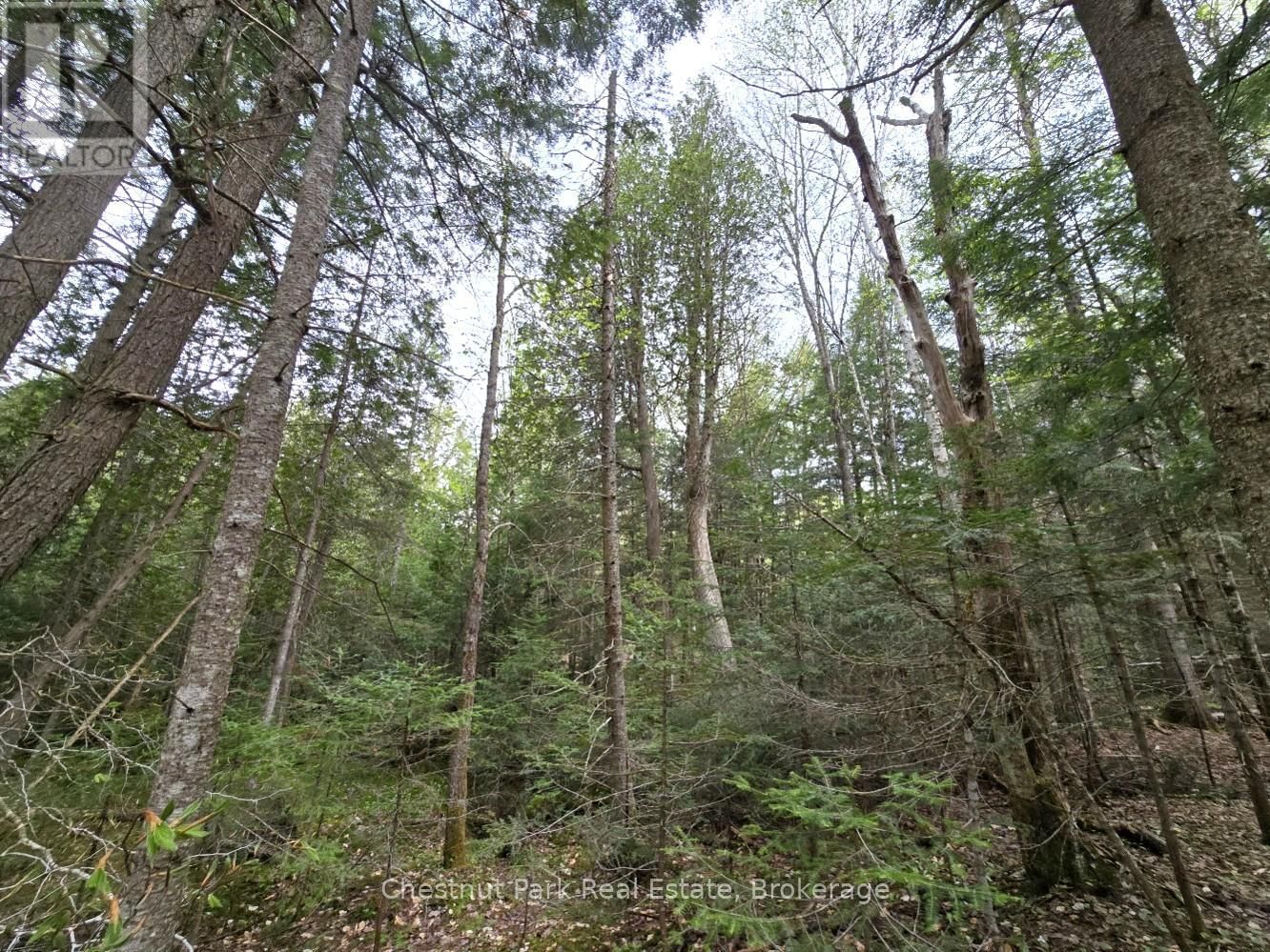 Part 1 ECHO RIDGE ROAD Image 18