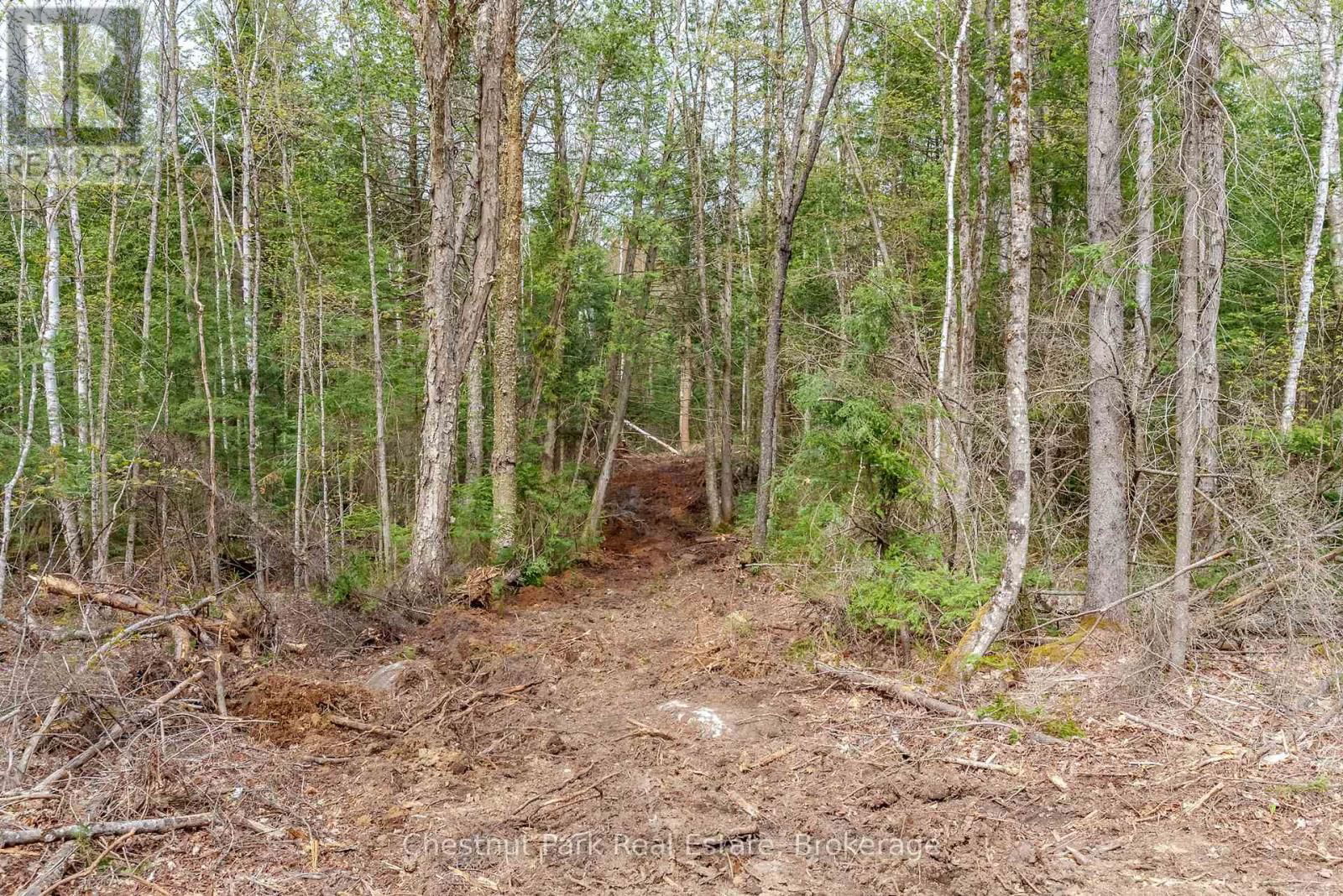 Part 1 ECHO RIDGE ROAD Image 4