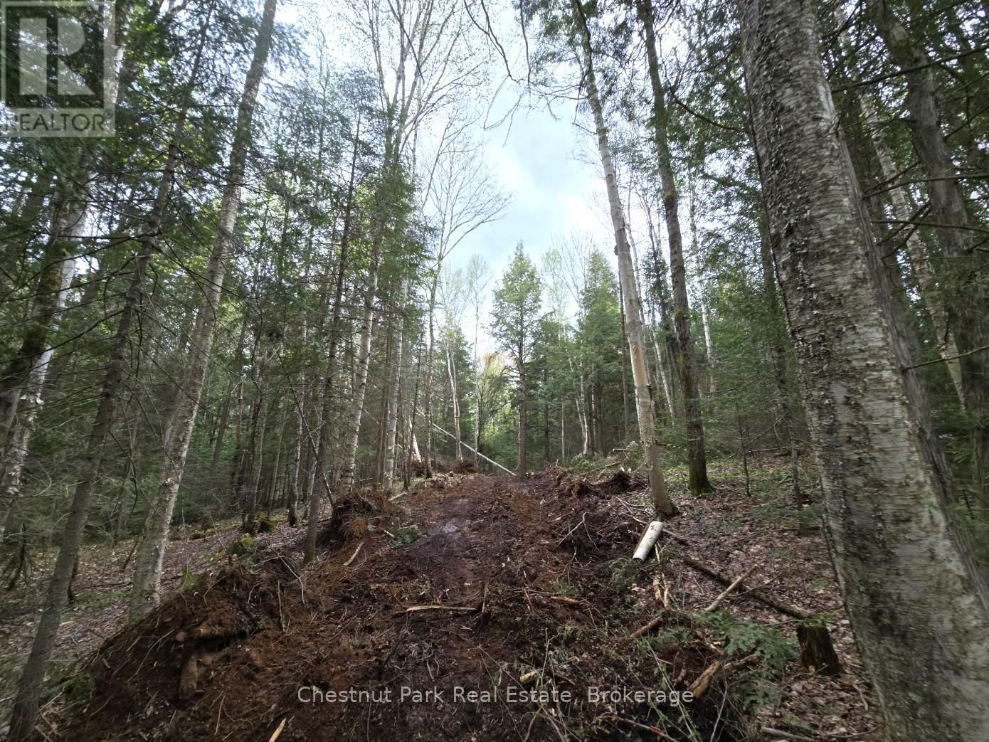 Part 1 ECHO RIDGE ROAD Image 5