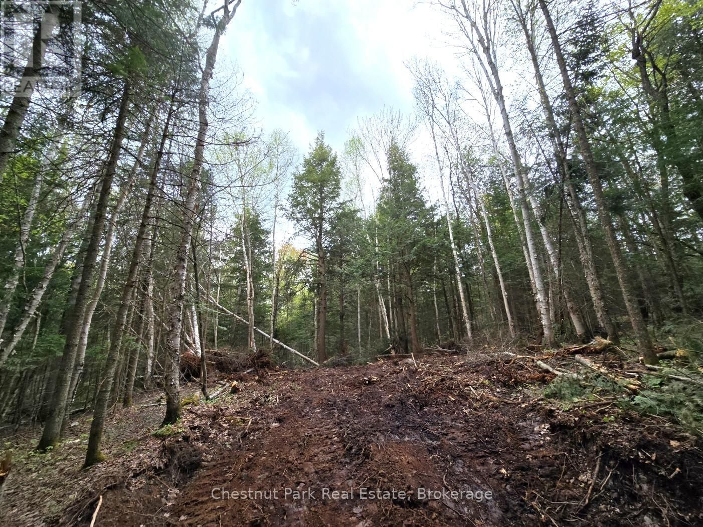Part 1 ECHO RIDGE ROAD Image 6
