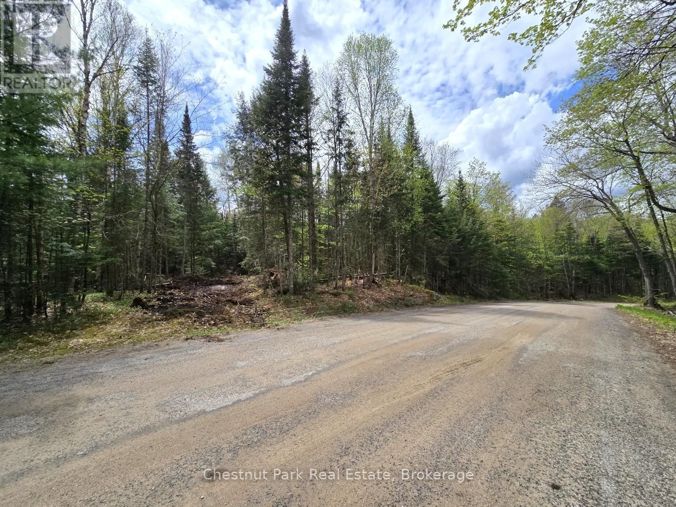 Part 5 ECHO RIDGE ROAD Image 1