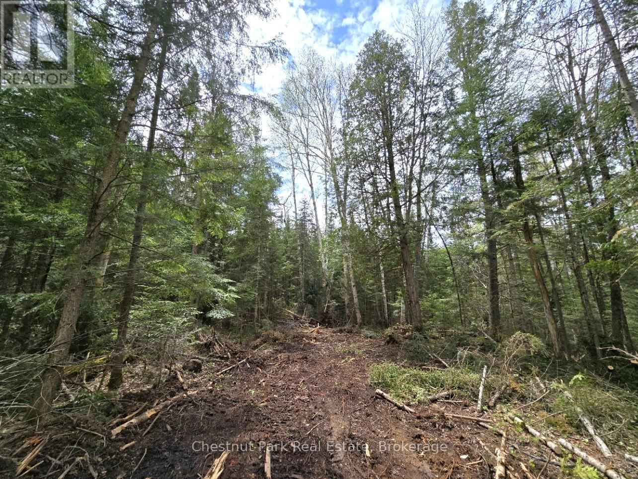 Part 5 ECHO RIDGE ROAD Image 10