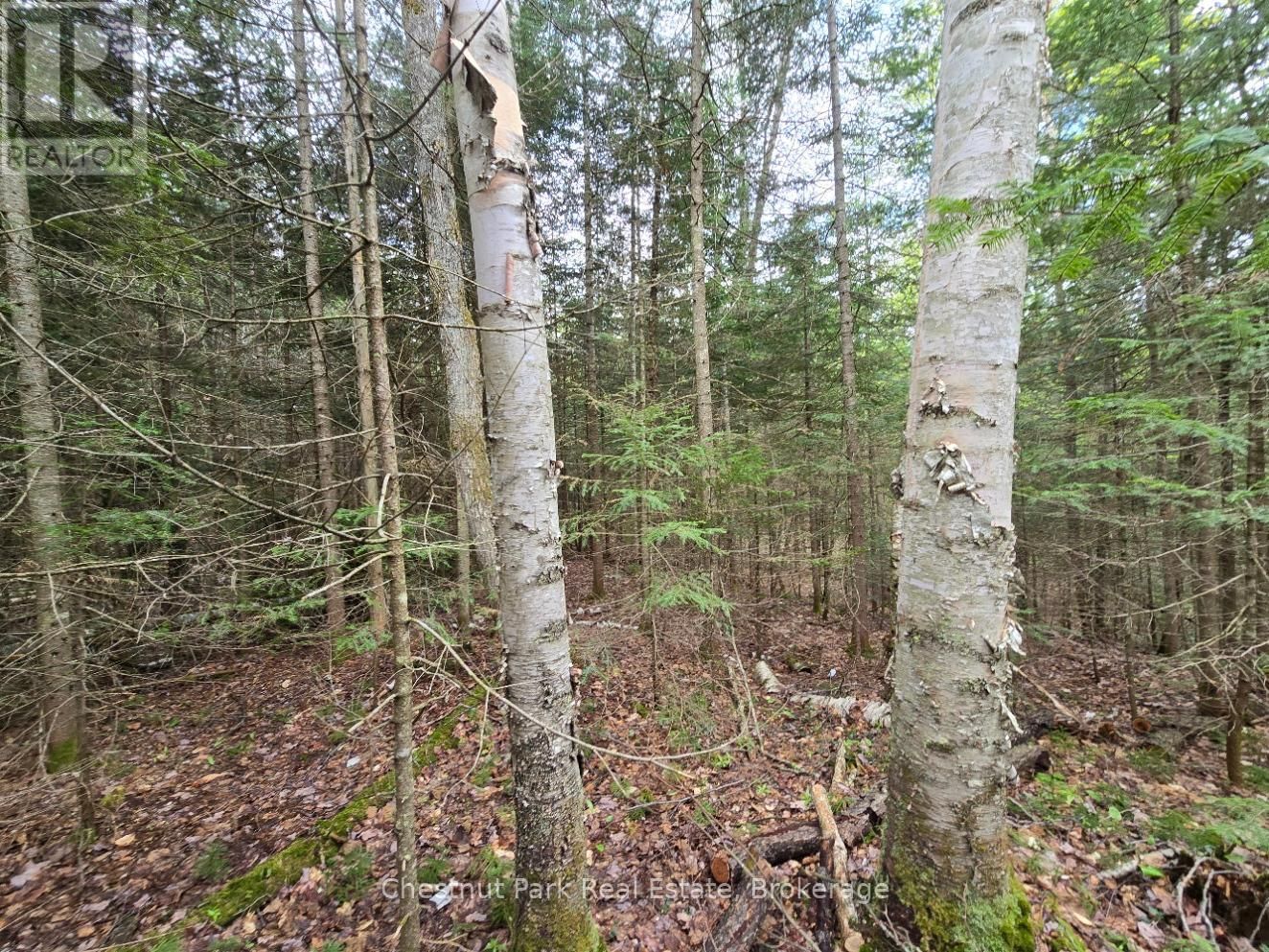 Part 5 ECHO RIDGE ROAD Image 11