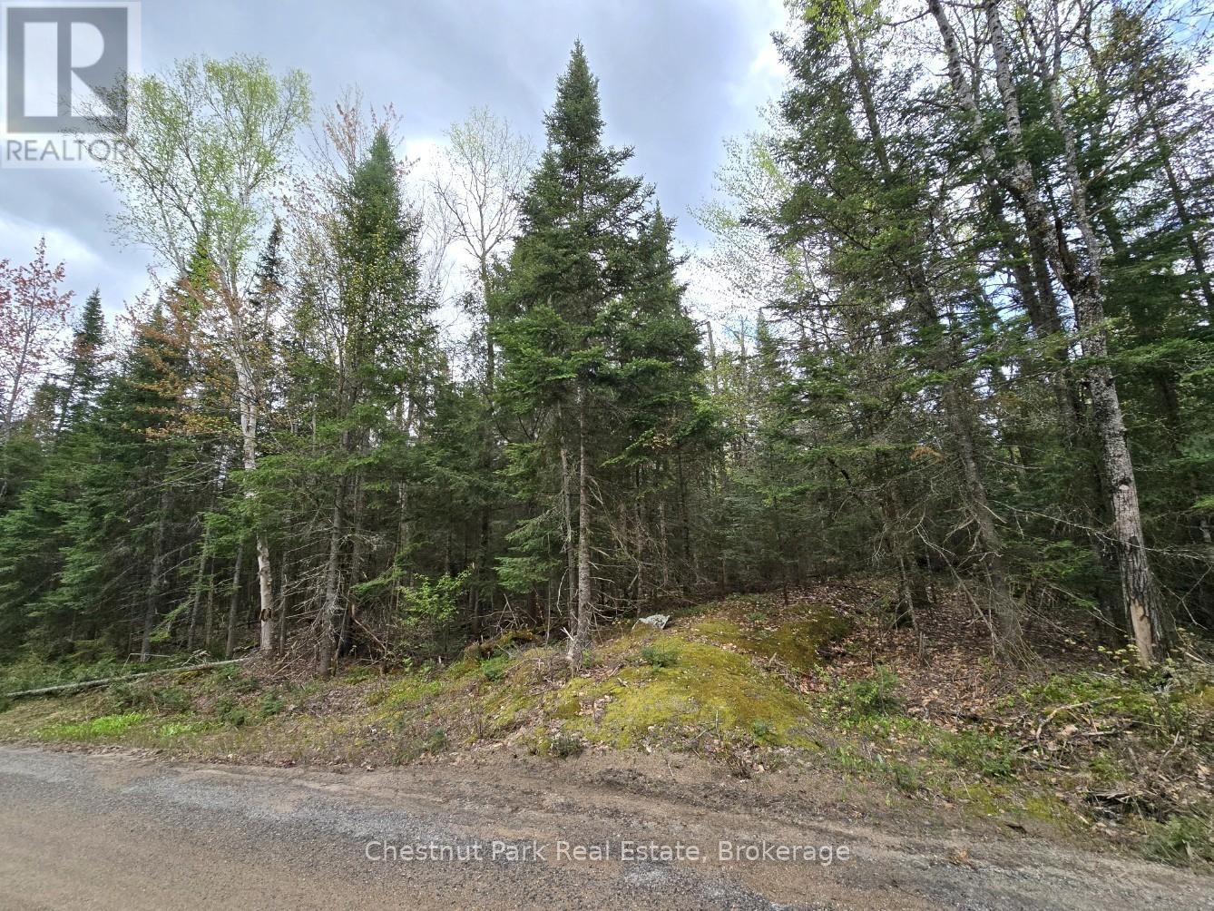 Part 5 ECHO RIDGE ROAD Image 18