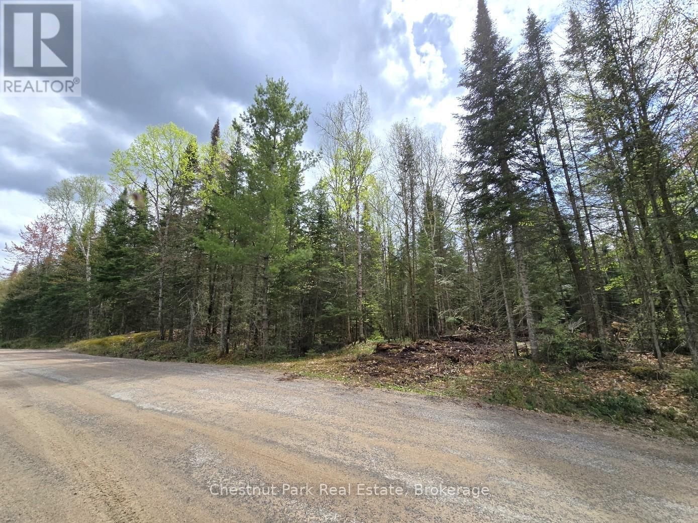 Part 5 ECHO RIDGE ROAD Image 2