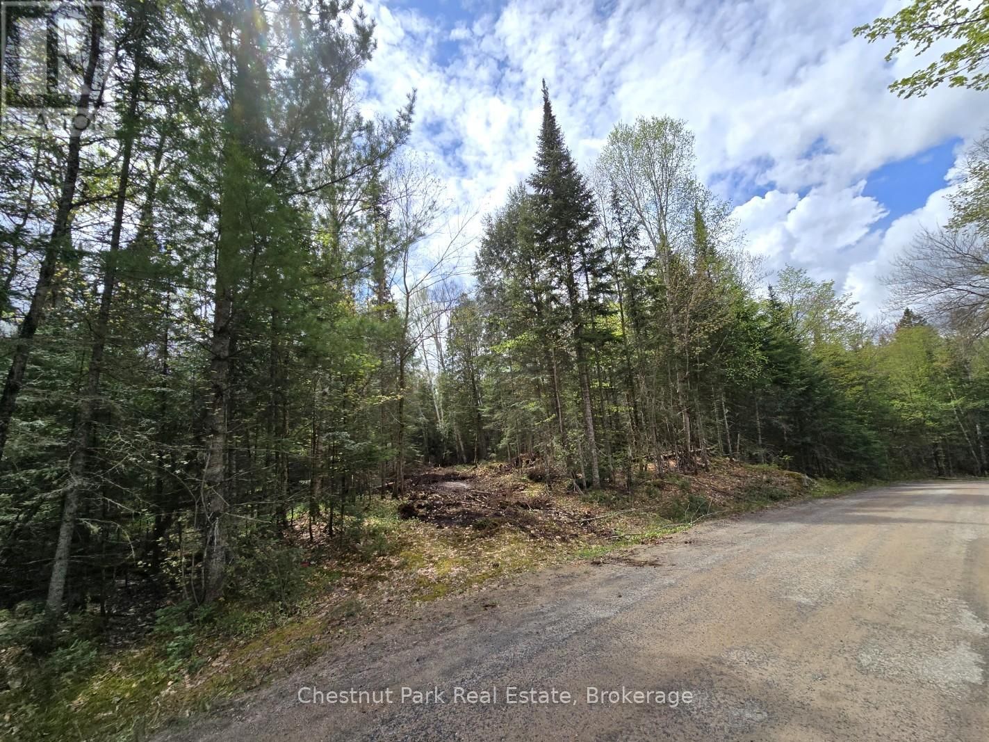 Part 5 ECHO RIDGE ROAD Image 20