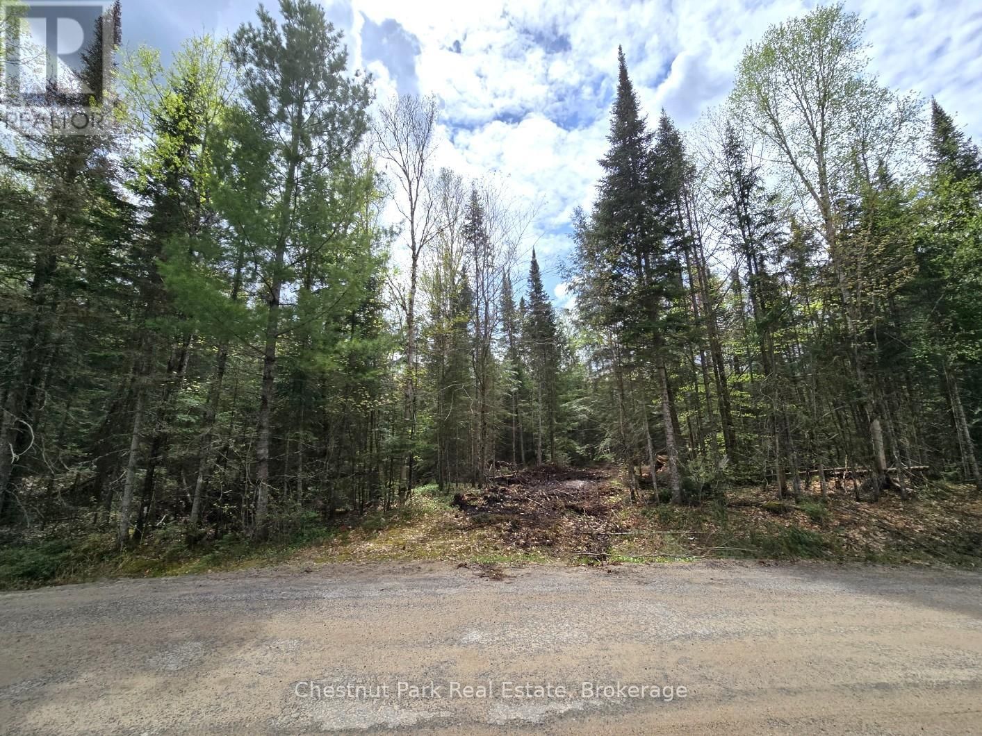 Part 5 ECHO RIDGE ROAD Image 3