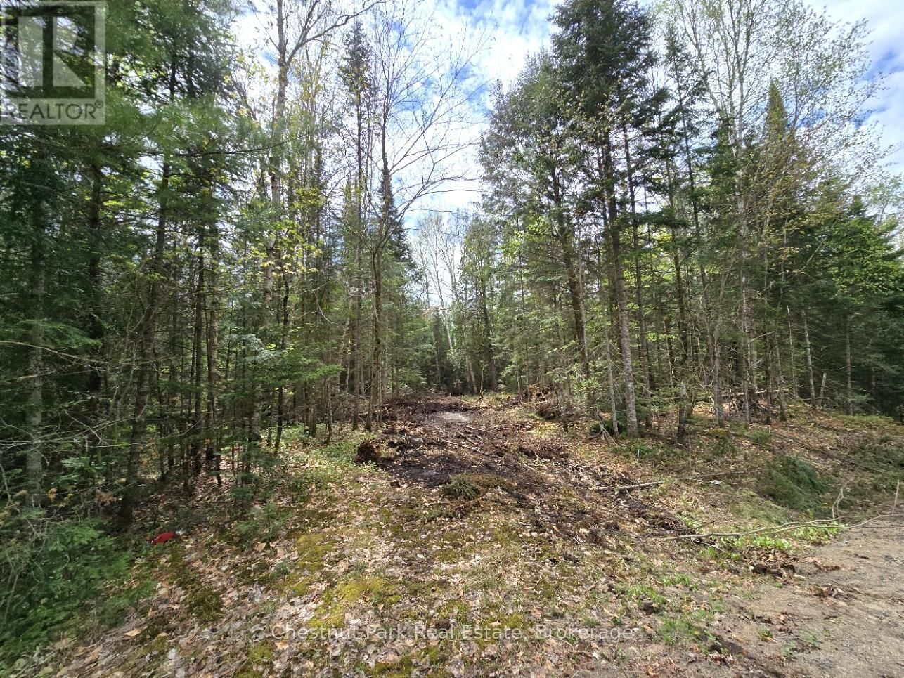 Part 5 ECHO RIDGE ROAD Image 5
