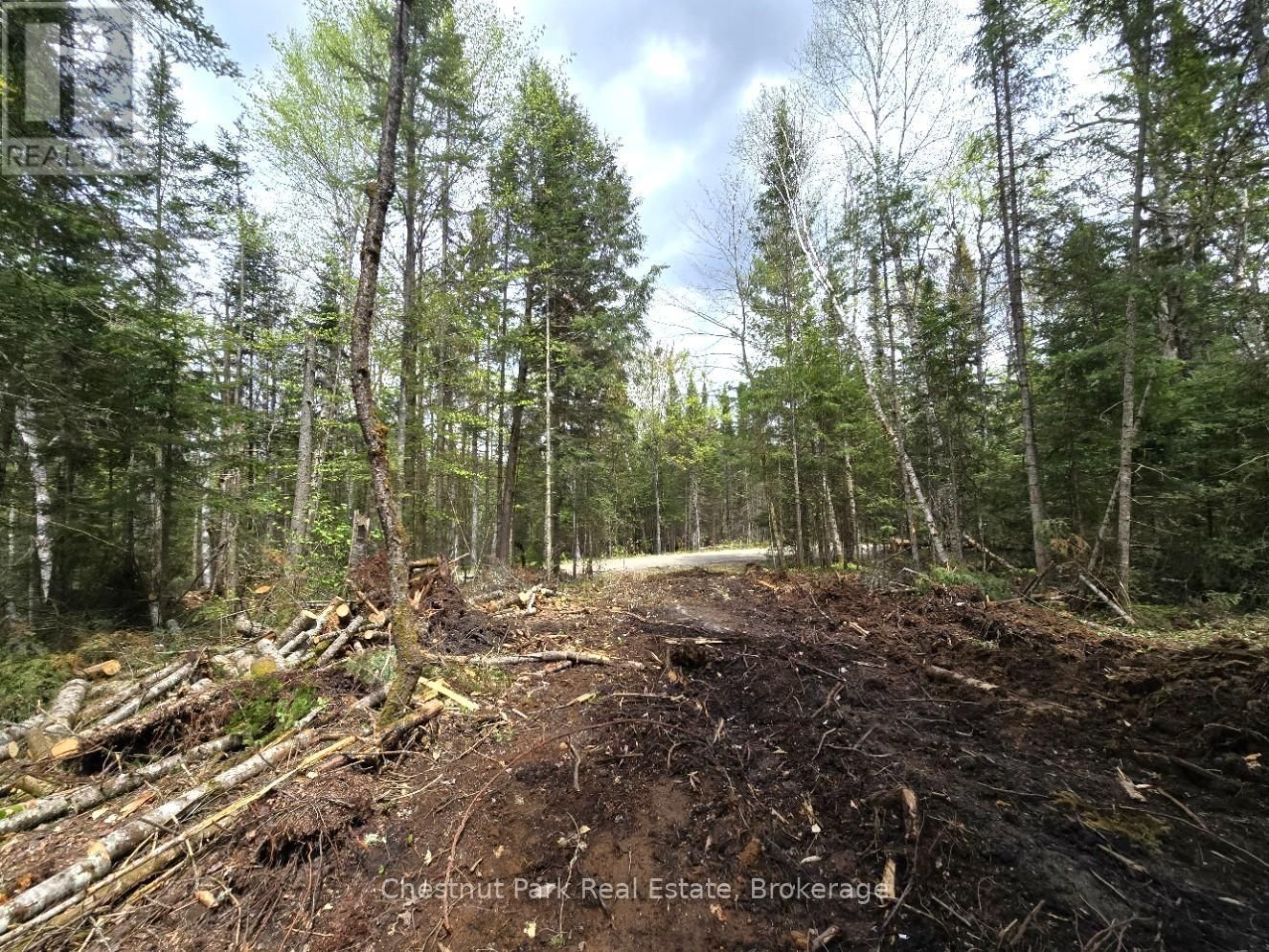 Part 5 ECHO RIDGE ROAD Image 6
