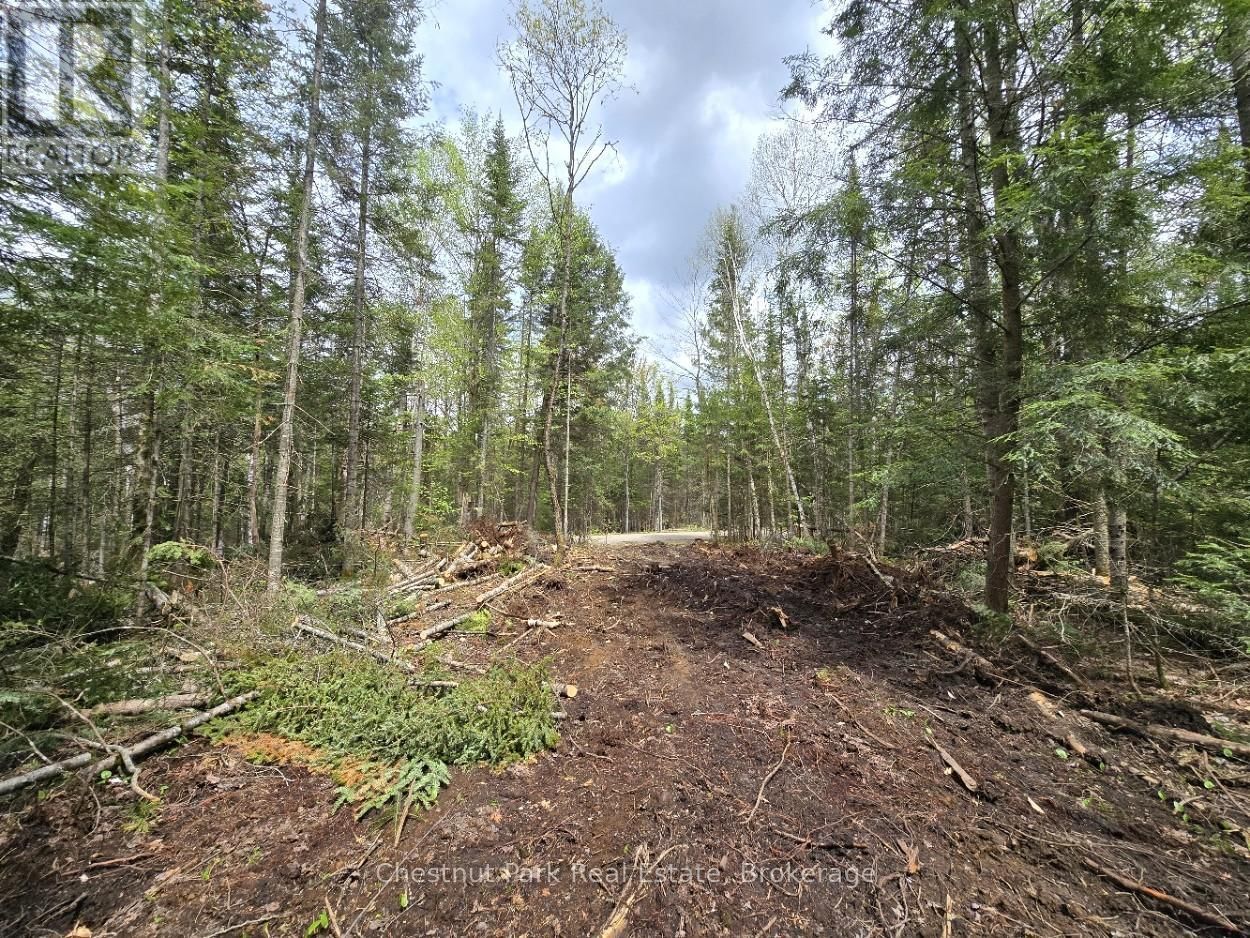 Part 5 ECHO RIDGE ROAD Image 7