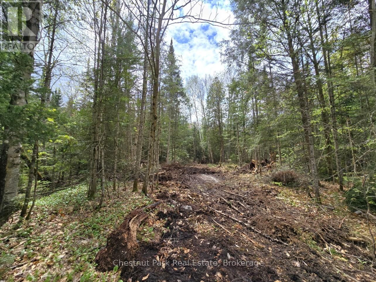 Part 5 ECHO RIDGE ROAD Image 8