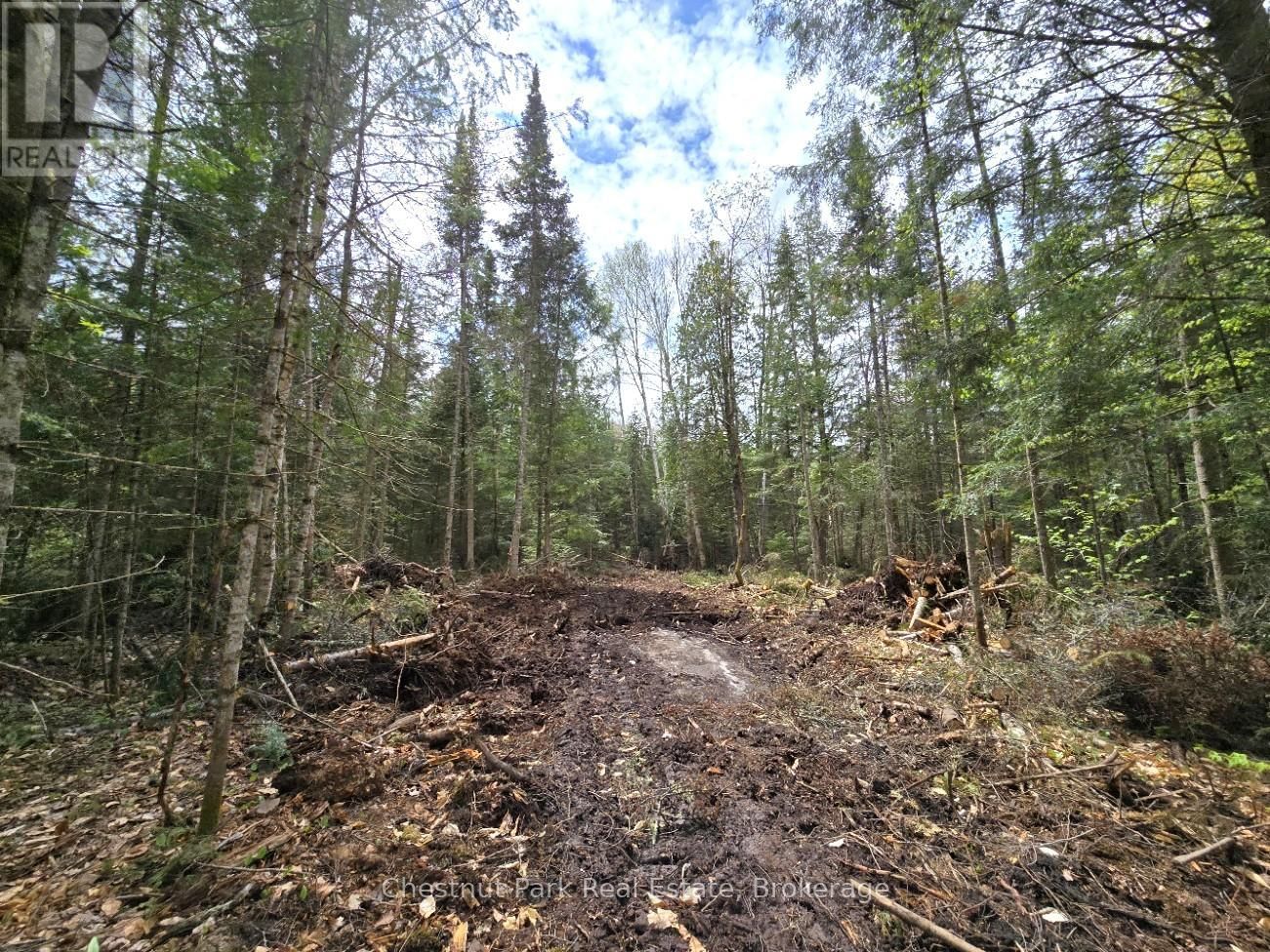 Part 5 ECHO RIDGE ROAD Image 9