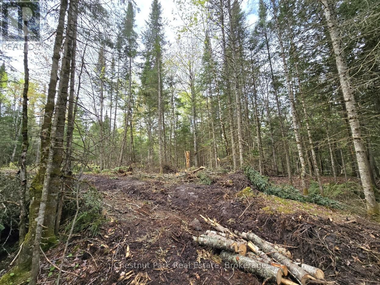 Part 2 ECHO RIDGE ROAD Image 10