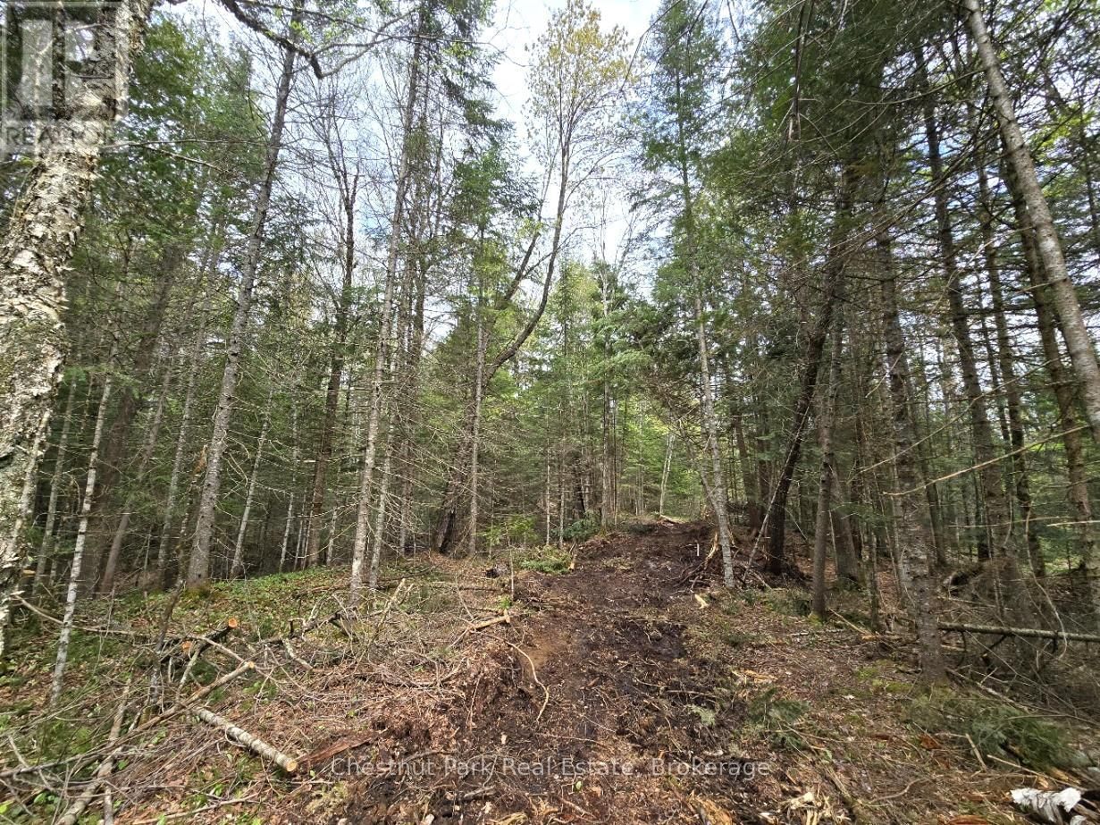 Part 2 ECHO RIDGE ROAD Image 13