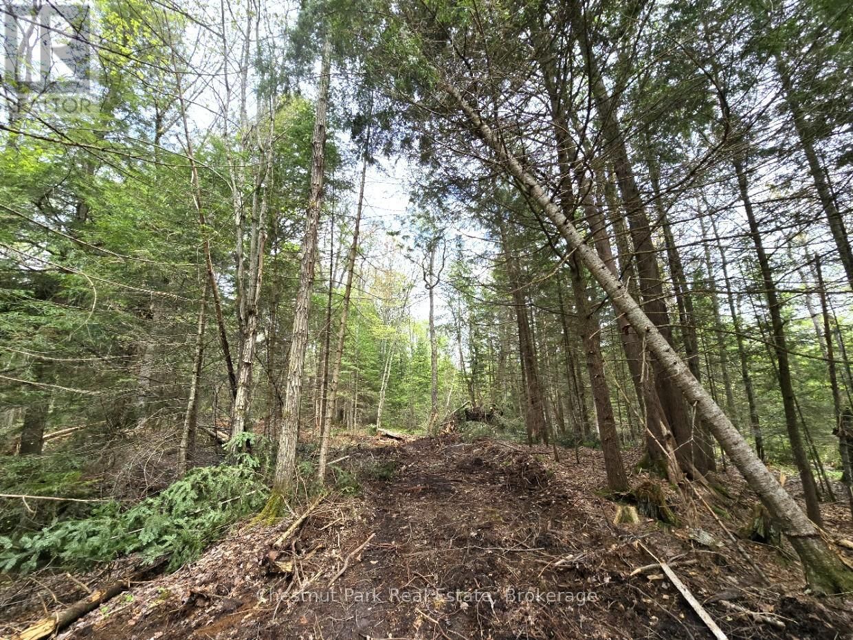 Part 2 ECHO RIDGE ROAD Image 14