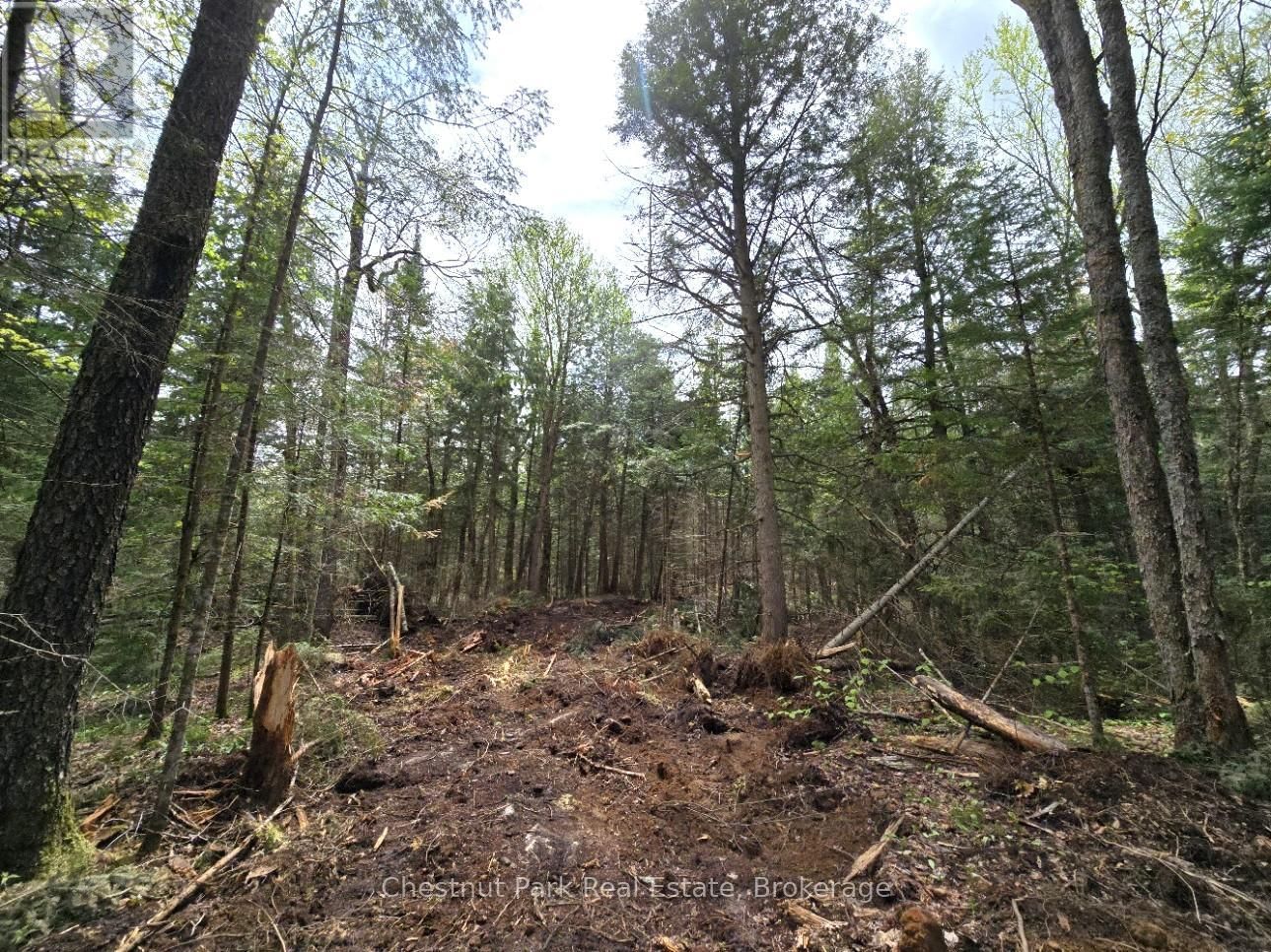 Part 2 ECHO RIDGE ROAD Image 15