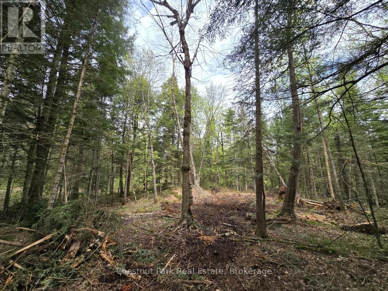 Part 2 ECHO RIDGE ROAD Image 16