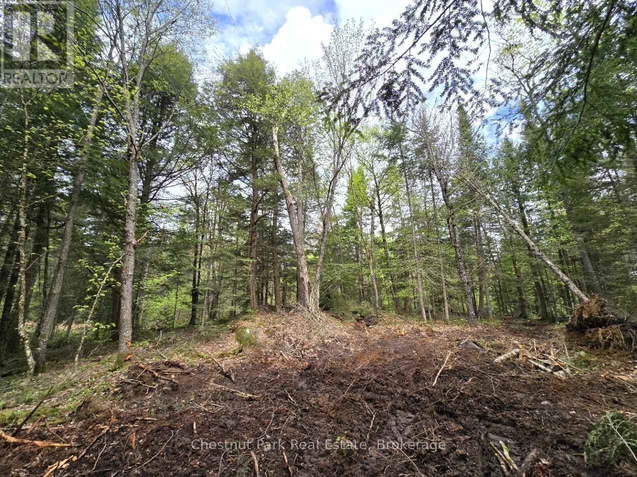 Part 2 ECHO RIDGE ROAD Image 17