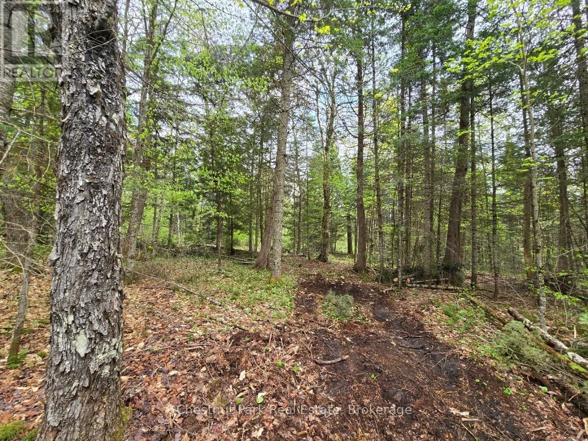 Part 2 ECHO RIDGE ROAD Image 18