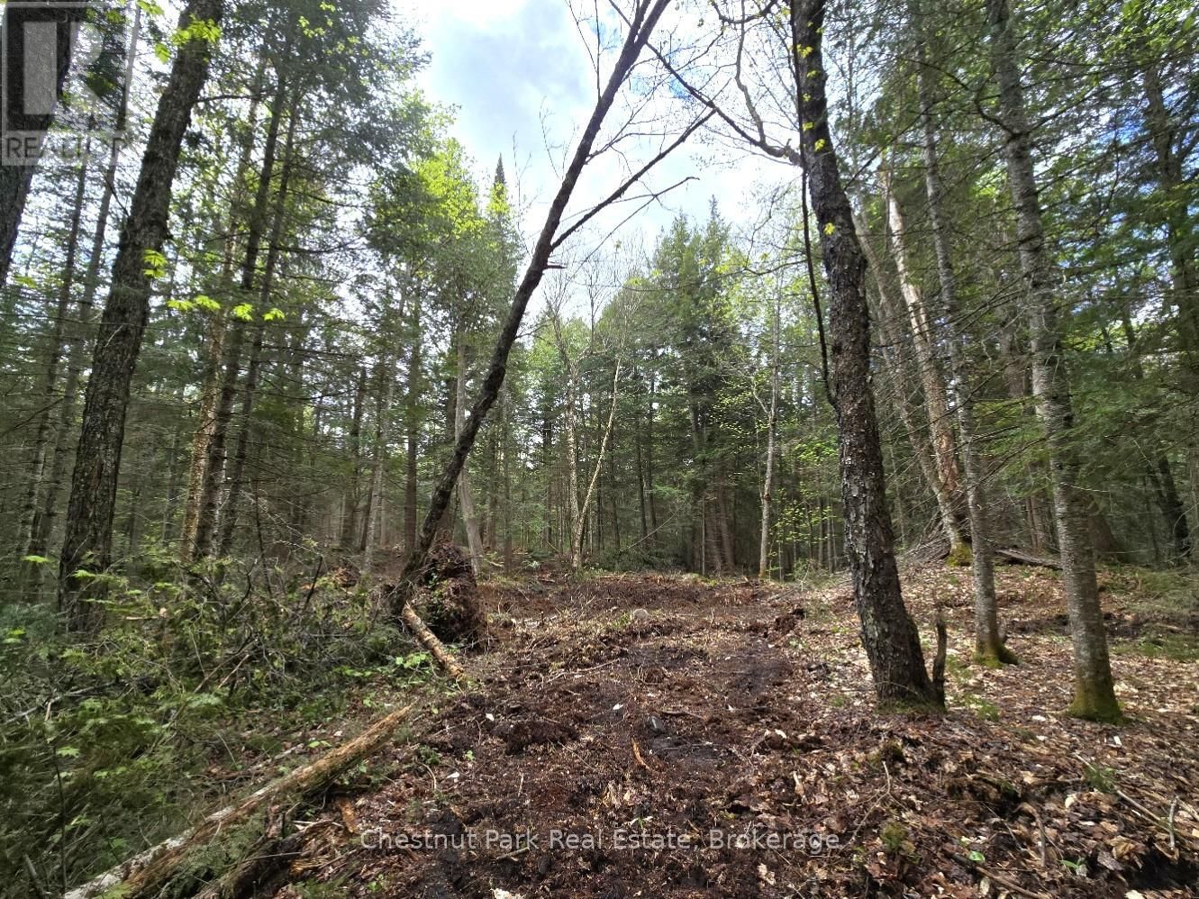 Part 2 ECHO RIDGE ROAD Image 19