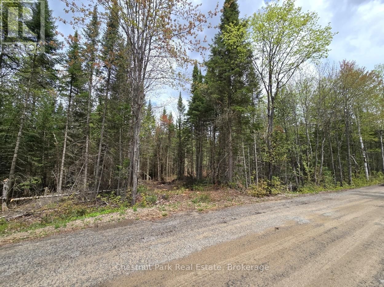 Part 2 ECHO RIDGE ROAD Image 2