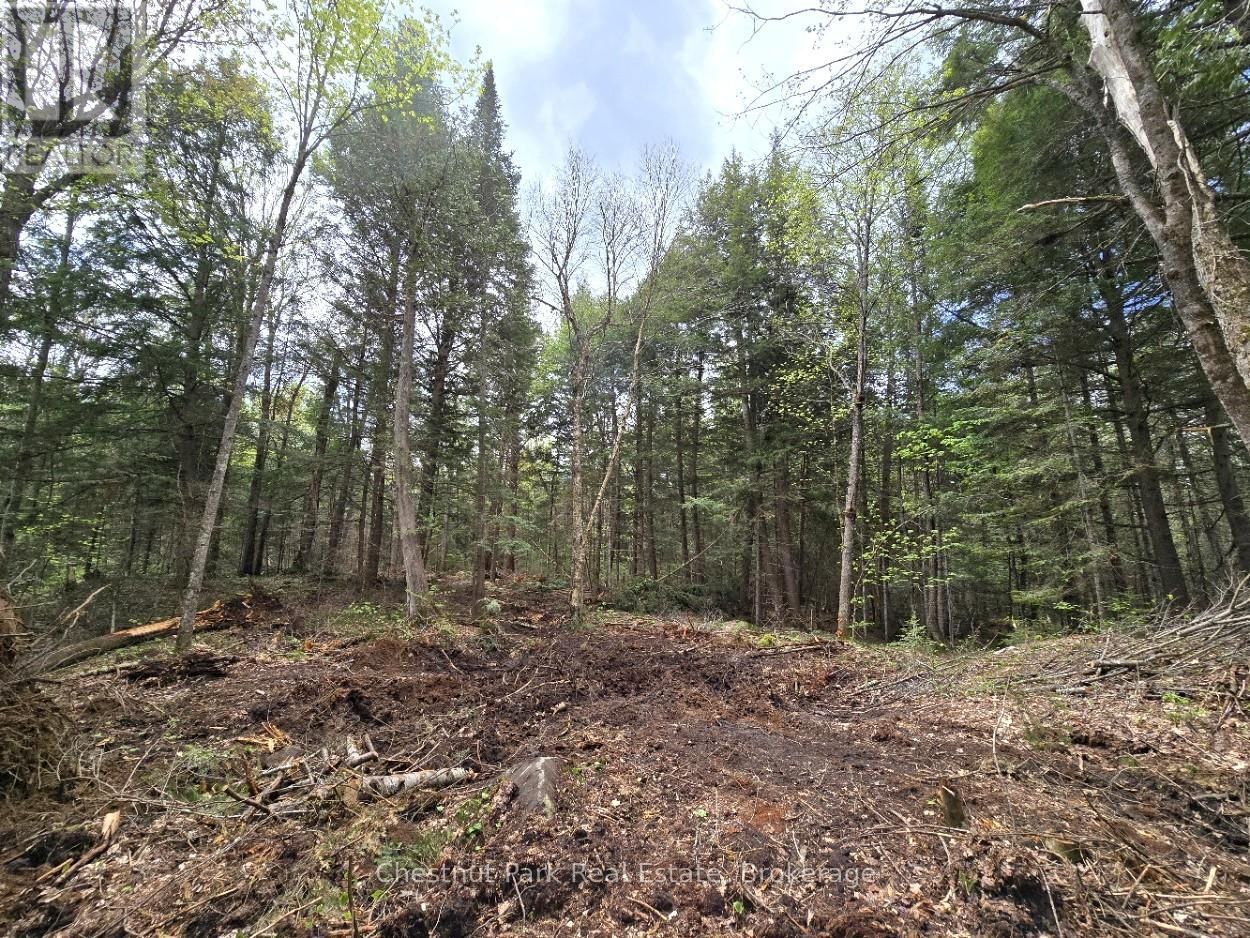 Part 2 ECHO RIDGE ROAD Image 21