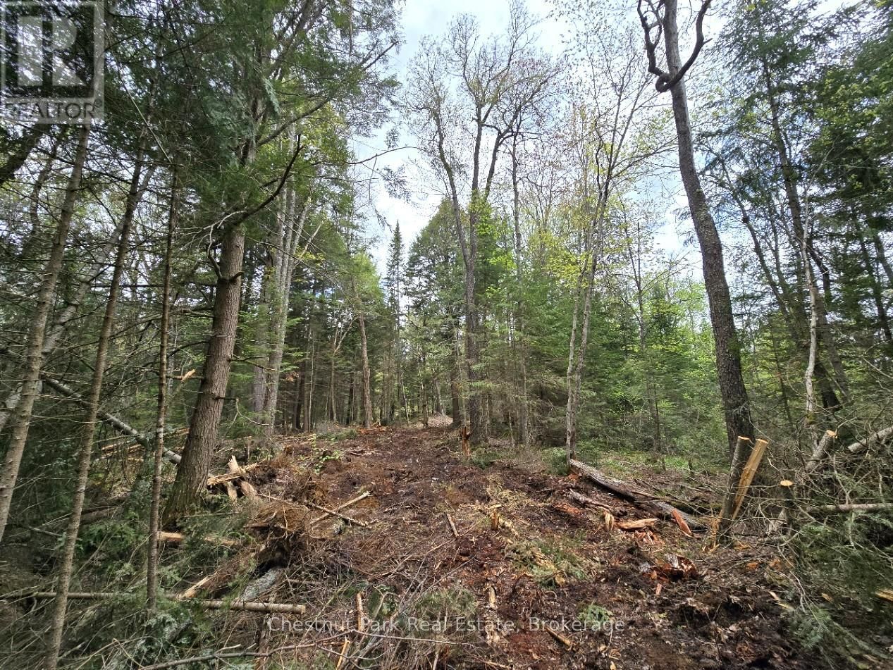 Part 2 ECHO RIDGE ROAD Image 22