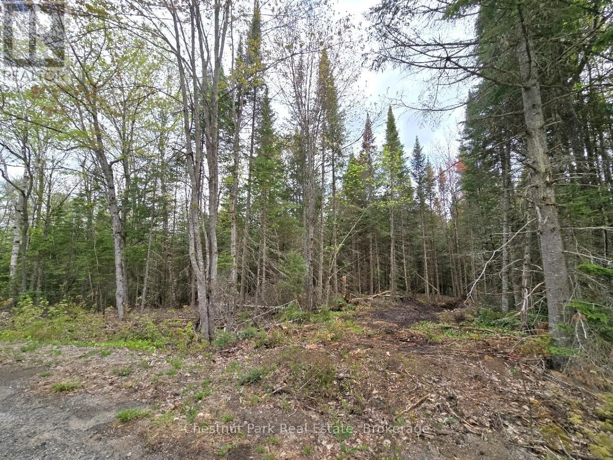 Part 2 ECHO RIDGE ROAD Image 23