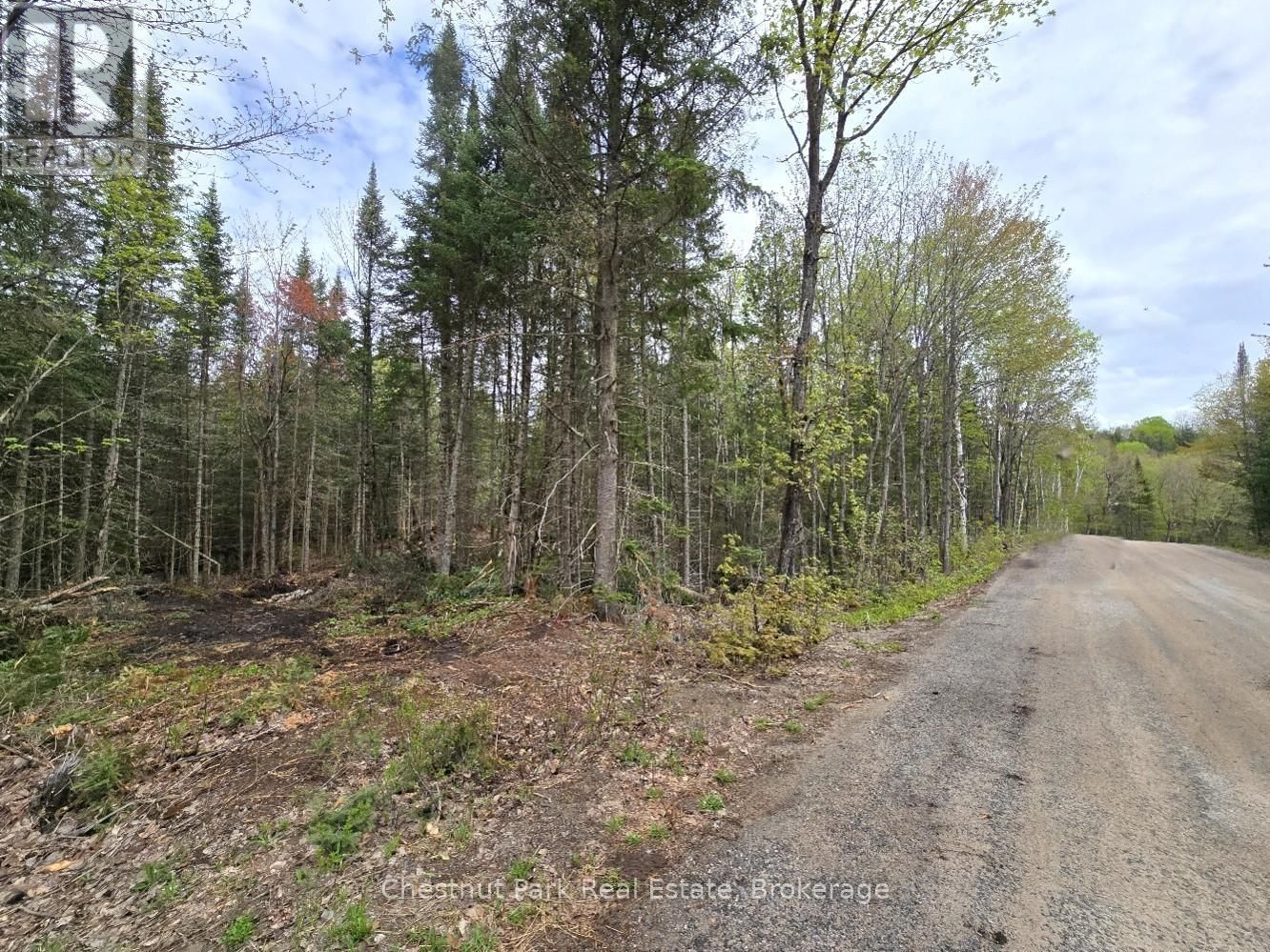 Part 2 ECHO RIDGE ROAD Image 29