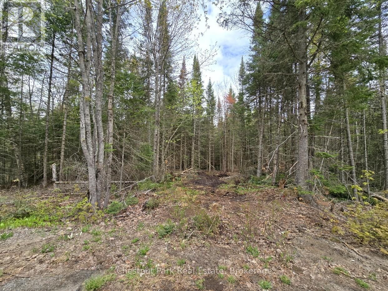 Part 2 ECHO RIDGE ROAD Image 4