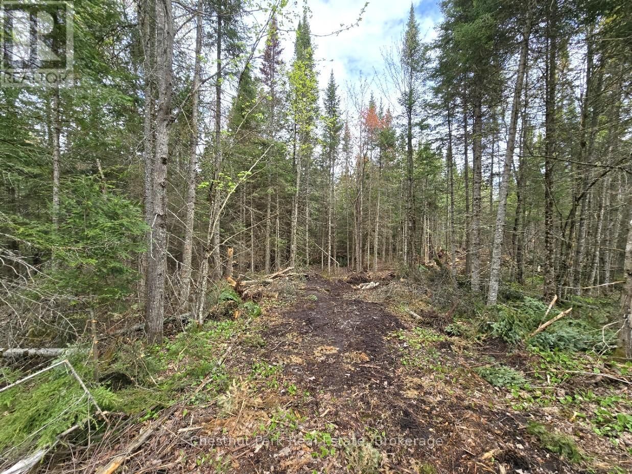 Part 2 ECHO RIDGE ROAD Image 5