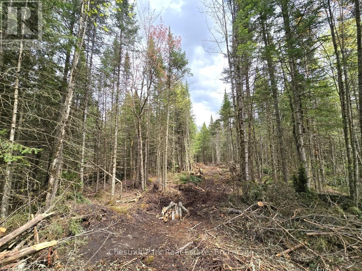 Part 2 ECHO RIDGE ROAD Image 6
