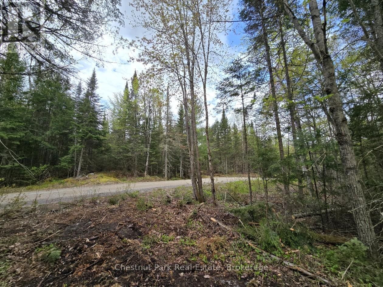 Part 2 ECHO RIDGE ROAD Image 7